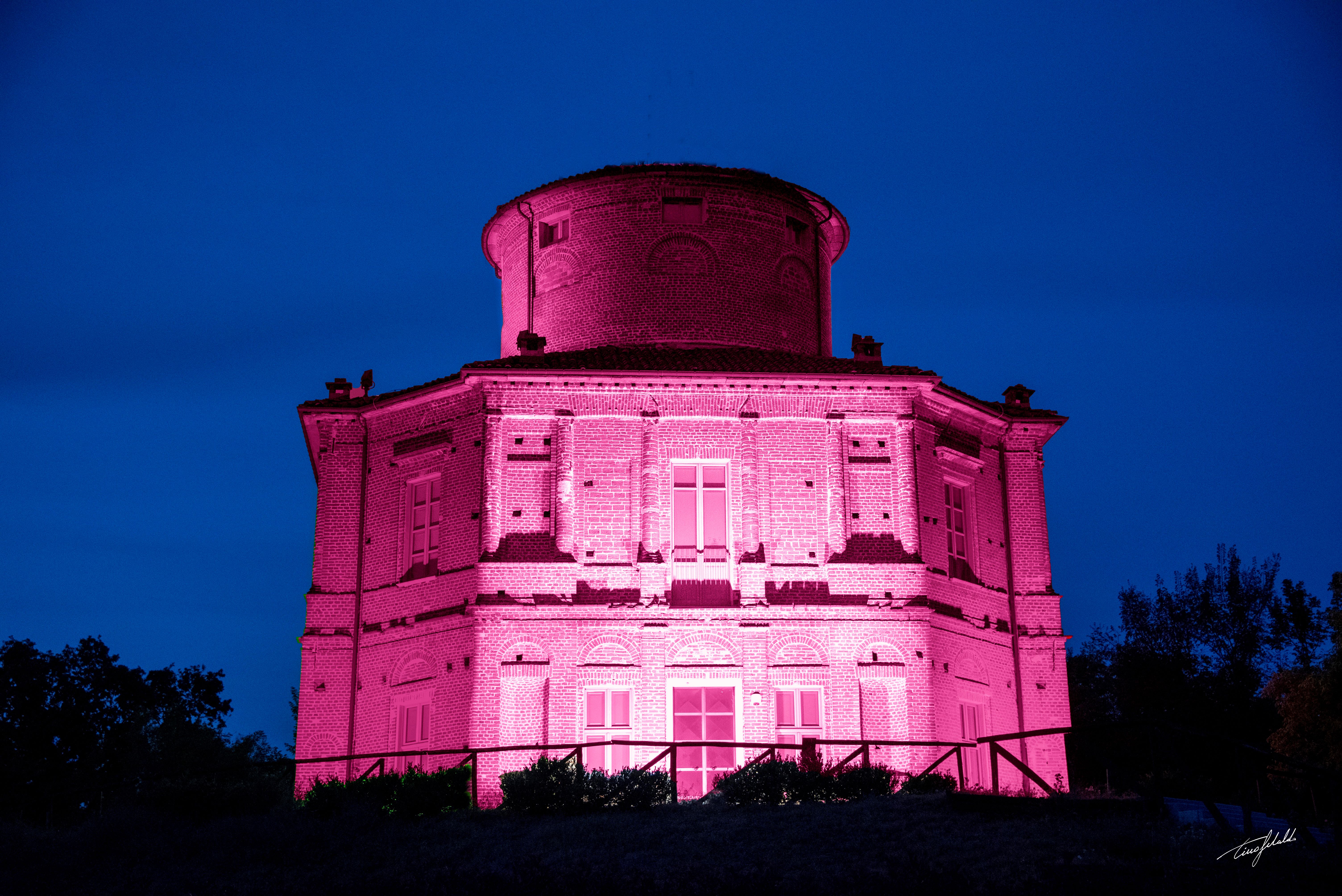 LA ZIZZOLA IN ROSA_dettaglio_rid
